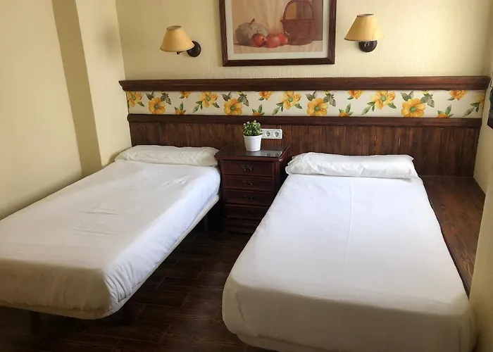 アパート Conil Homes Iv コニル・デ・ラ・フロンテラ